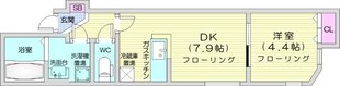 プレシャス北８条の物件間取画像